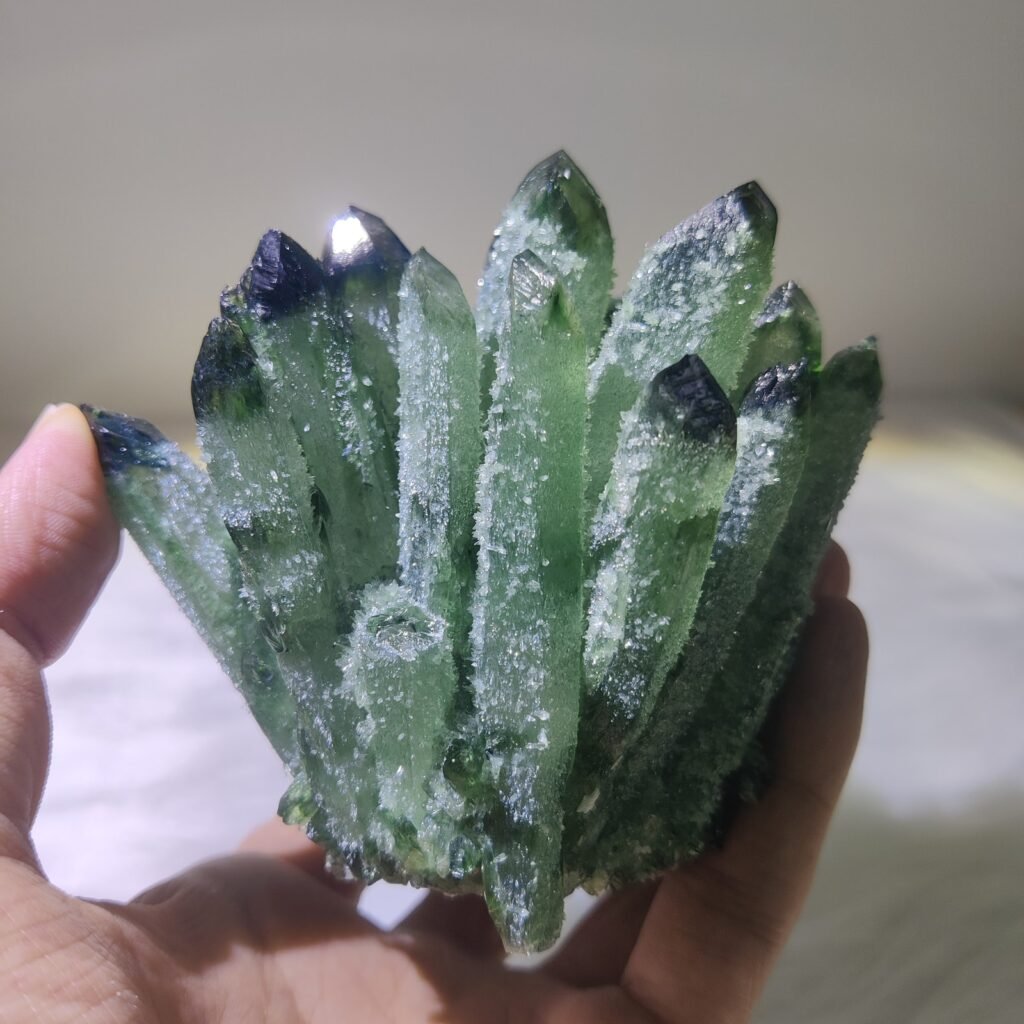Product sample P0117: Clusters, photo 1; material pending verification